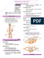 Nervous System 2