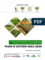 Adaptaction Niger Spn2a Plan Action 2022 2026