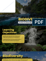 Biodiversity in Ecosystems Educational Presentation in Colorful Photographic Style