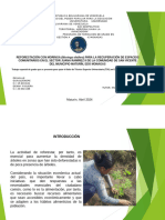 Microsoft PowerPoint - Presentacion Moringa 01042024