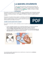 FICHA Corazón y Aparato Circulatorio