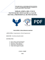 Trabajo Final Matriz IPERC y Plan de Bienestar Emocional