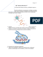 TP: "Sistema Nervioso I": Colegio Nacional #5080