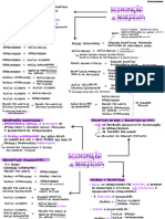 Direito Previdenciário MAPA MENTAL AULA 10