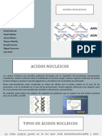 Acidos Nucleicos Grupo Numero 4