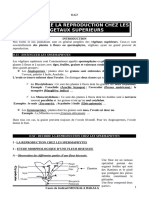 Cours Sur Les Spermaphytes TD