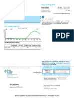 Billing Summary: Your Energy Bill