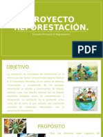 Proyecto Reforestación