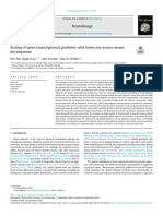 Scaling of Gene Transcriptional Gradients With Brain Size Across Mouse Development