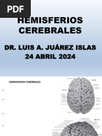 Hemisferios Cerebrales 24 Abril 2024