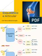 Aula 2 ANATOMIA