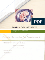 Embryology Eye