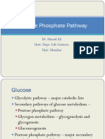 Pentose Phosphate Pathway