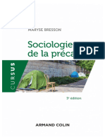 Sociologie de La Précarité