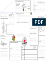 Nutrition Revision Map