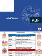 Rm2025 - Fundamentos Teóricos - Dermatología