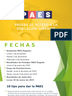 Tecnicas PAES