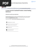 2013 Yarnell Et Al A Novel Record of Aardwolf Proteles Cristata Feeding Behaviour