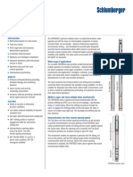 Fortress Isolation Valve Ps