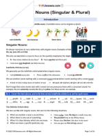 Countable-Nouns-Student-Copy A1