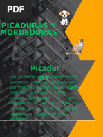 Picaduras y Mordeduras