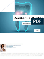 Anatomia Dental