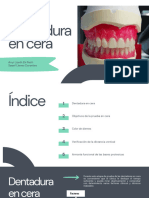 Dentadura en Cera PDF