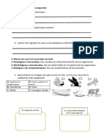 Fichas de Aplicación