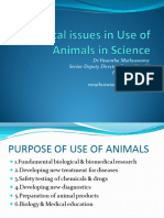 Animal Ethics