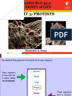 2024 Unit 3 - PROTISTS