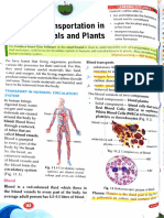 Notes of Transportation in Animals and Plants