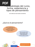 Psicopatología Del Curso, Forma, Experiencia y Tipos - LUNA