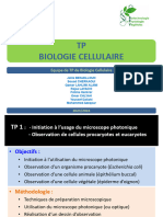 TP de Biologie Cellulaire