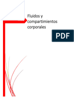 Fluidos y Compartimientos Corporales