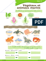 Fiche Pédagogique - Passerelle CE2 CM1 Sciences Du Vivant