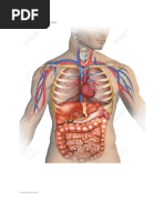 Medical Terminology DR - Nahed