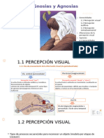 II-9 Gnosias y Agnosias OBJ 2 y OBJ 3