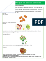 D3 A2 FICHA CT. ¿Por Qué Las Plantas Son Seres Vivos