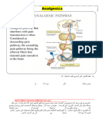 Analgesics Last Part