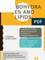 Carbohydrates and Lipids