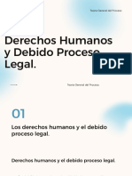 Derechos Humanos y El Debido Proceso Legal