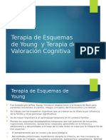 Terapia de Esquemas de Young y Terapia de Valoracion Cognitiva