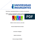 4 - Capacidades Diferentes y Su Relación Con La Educación.