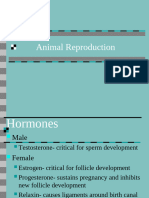 Animal Reproduction