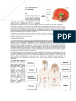 Sistema Nervioso Central y Endocrino en Relacion Con La Conducta Humana