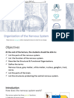 1-Organisation of The Nervous System (Edited)