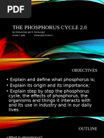 The Phosphorus Cycle