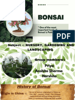 Bonsai 20241017 184523 0000