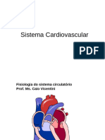 Sistema Cardiovascular Parte 2