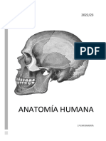 ANATOMÍA